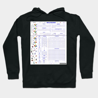 What's on your fridge? Multilingual Alphabet 1.0 Hoodie